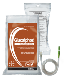 Glucalphos 500ml F-Bag