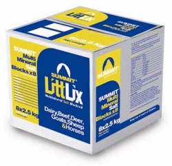 Salt Block Littlix 2.5kg