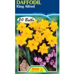 Fiesta King Alfred Daffodil bag of 20