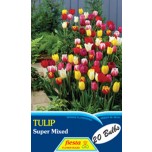 Fiesta Tulip Mixed Bag of 20