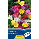 Fiesta Freesia Double Mixed 20